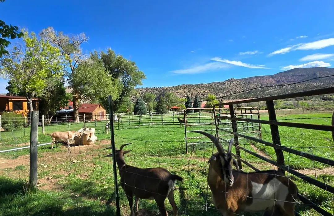 Pack Creek ~ Ranch House-1