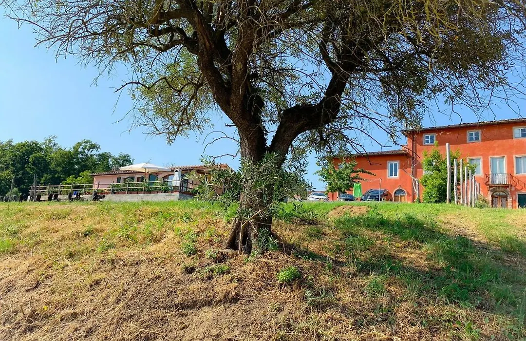 Villino Al Dotto Country House-1