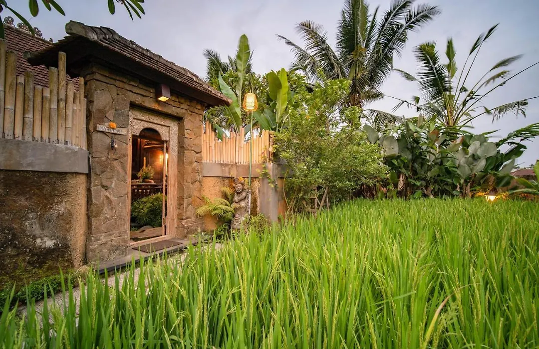 Villa Nini-1