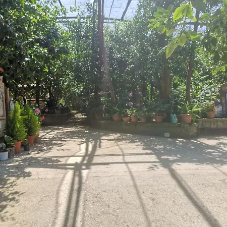Agriturismo Il Giardino Di Vigliano-2