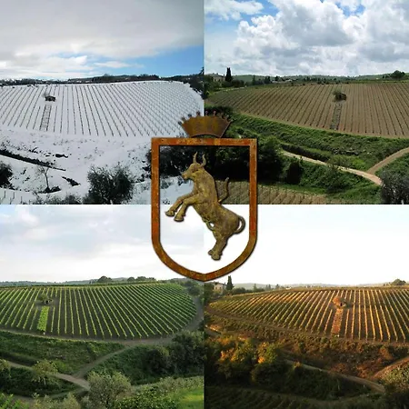 Colle Al Matrichese - Historic Winery-2