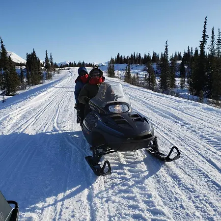 Denali Wild Stay - Redfox Cabin, Free Wifi, Private, Sleep 6-3