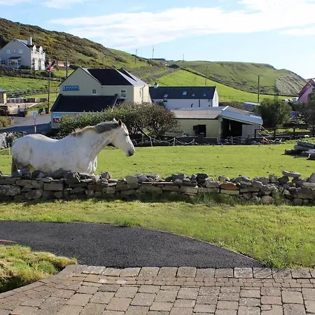 Luxury Lodges In Doolin Village With Hot Tubs-3
