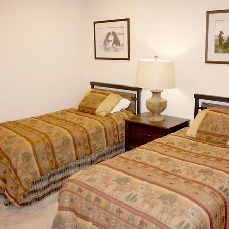 Woods Manor #302-A - Close To Main Street - Access To Indoor Hot Tub And Shuttle-3