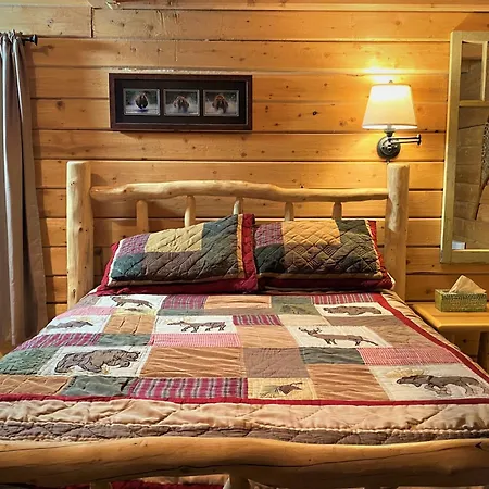 Alaska Creekside Cabins In Seward-3