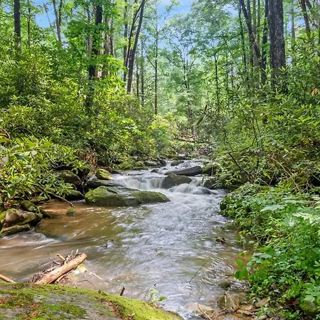 Falling Waters At Rumbling Bald-2
