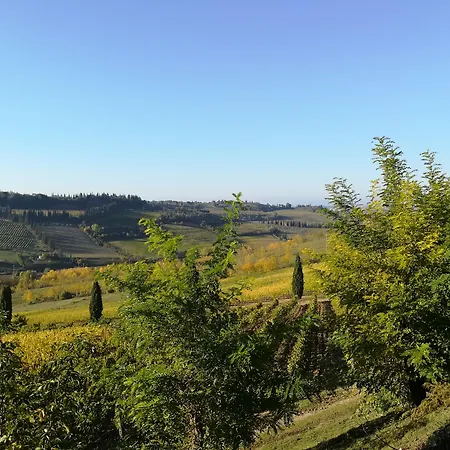 Poderi Arcangelo-2