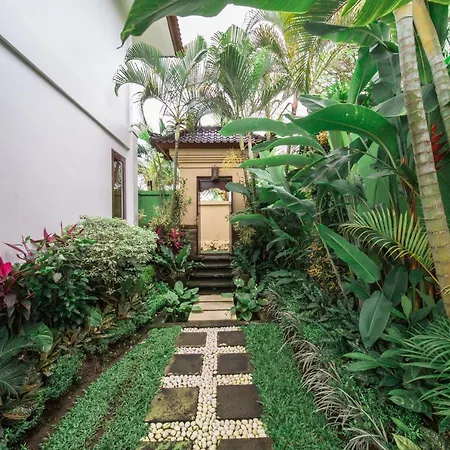 Villa Padi-2