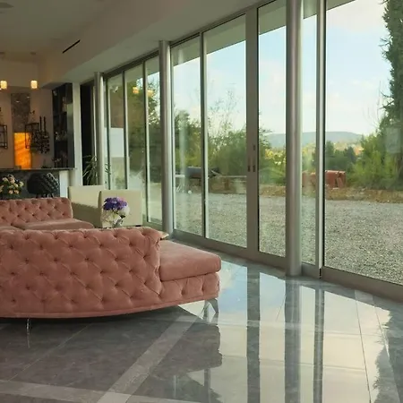 Beautiful Brand New Mansion Estate-3