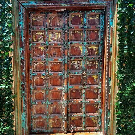 Secret Garden Denver-3