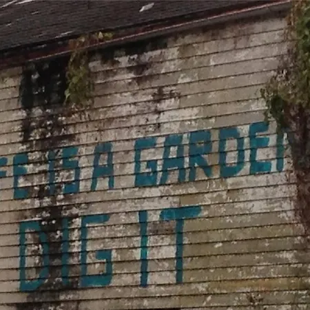 The Dragonfly Treme-Close To French Quarter-Heated Salt Pool-3