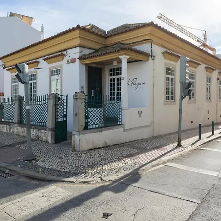 Le Penguin Hostel-2