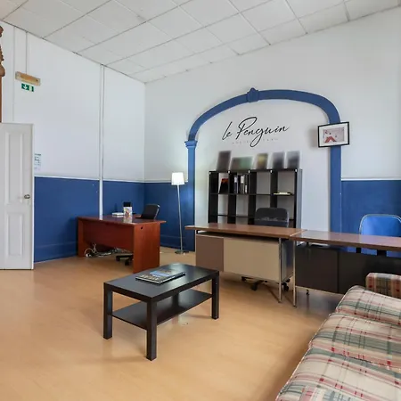 Le Penguin Hostel-3