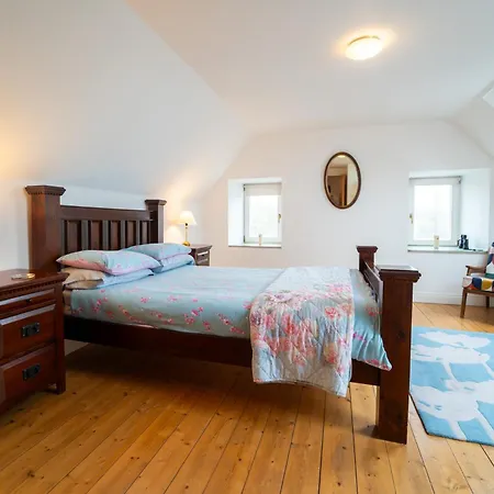 Brosnan'S Cottage-3