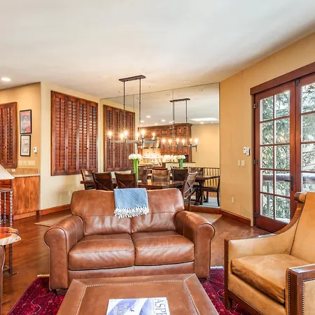315 Park Avenue, Luxury Townhouse With River Views In Aspen-2