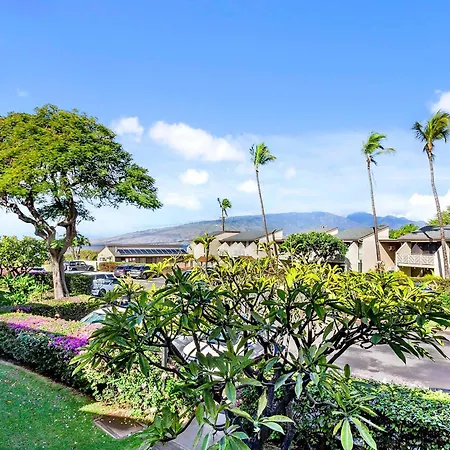 Kihei Holiday 215 - A Charming 2Br, 1Ba Condo, Ac-3