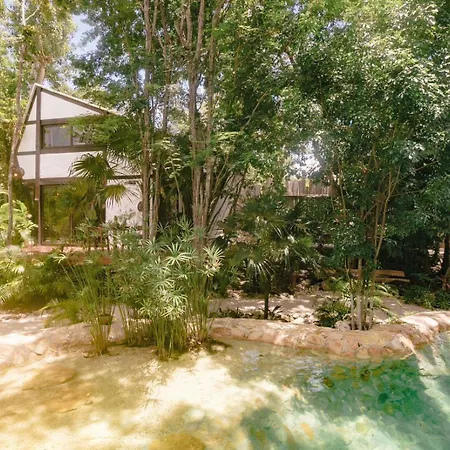 Nahouse Jungle Lodges-2