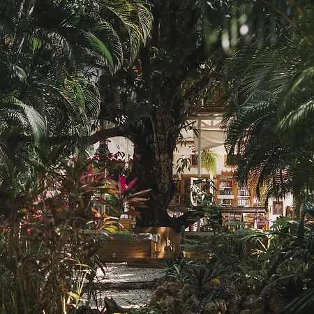 Griss Lodge & Spa-3
