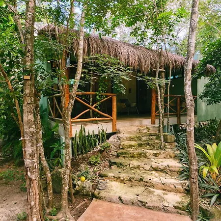 Villas Zamna - Jungle Villas-2