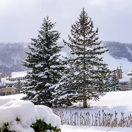 Chalet Blue Mountain 3Br & 3Bth Walk-In To Village-2