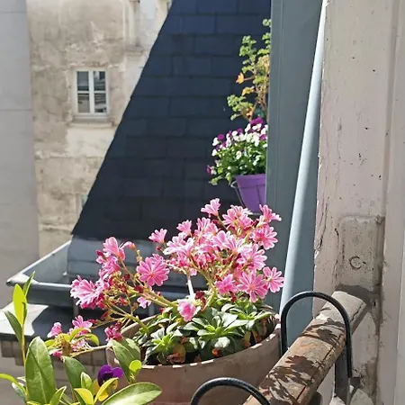 La Chambre Bleue-2