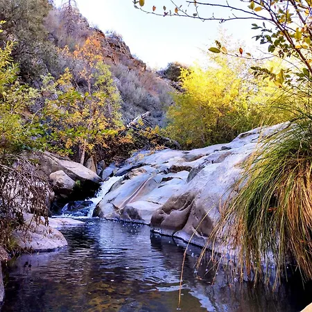 Quiet Mind Lodge, Spa & Retreat Sequoias-3