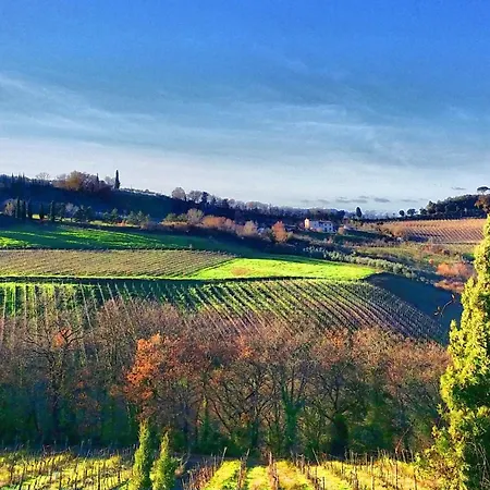 Agriturismo Casa Alle Vacche-2