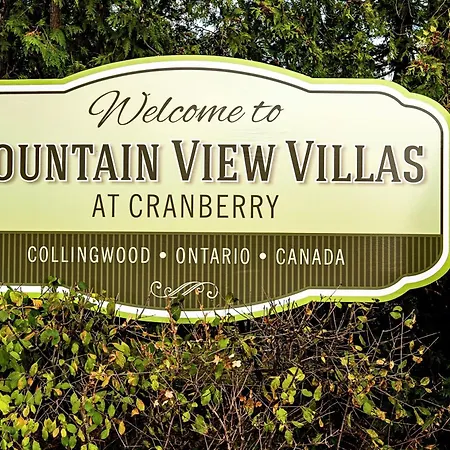 Mountain View Villas One Bed Loft Suite-3