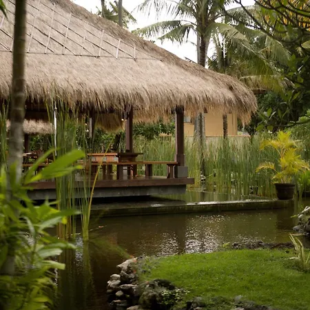 Villas At The Patra Bali Resort And Villas - Chse Certified-3