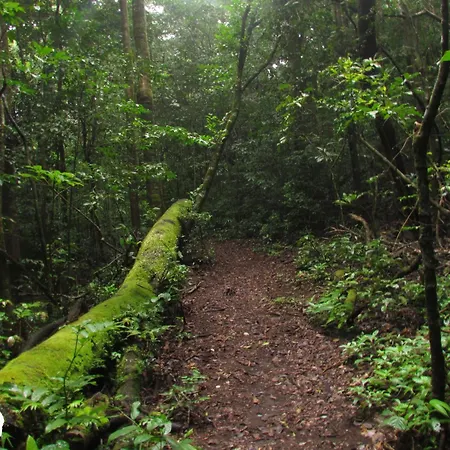 Santuario Ecologico Monteverde-3