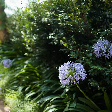 Greenwich Luxury Near Wharftraincbd Steps To Sea-2