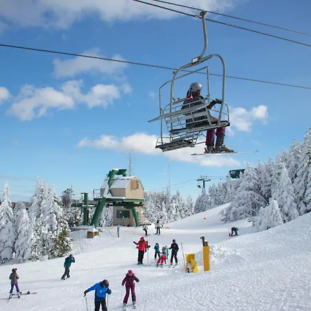 Wabasso 8 Cozy Snowshoe Retreat Covered Ez Parking Wifi Deck-3