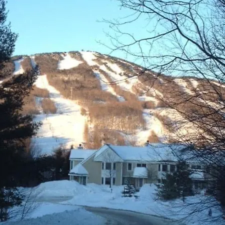 Mount Snow Greenspring 41D-2