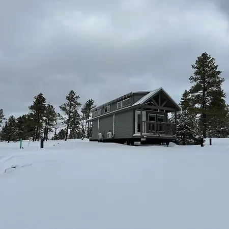 Cozy Cabins By Forest View 3B-3
