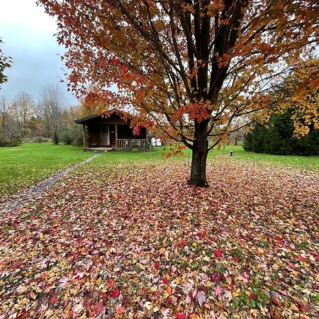 Mill Creek Cabins-3