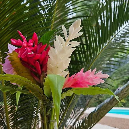 Fauna Lodge-2