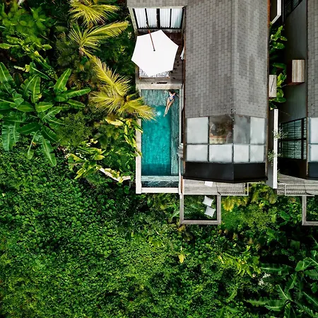 Magical Jungle Resort-3