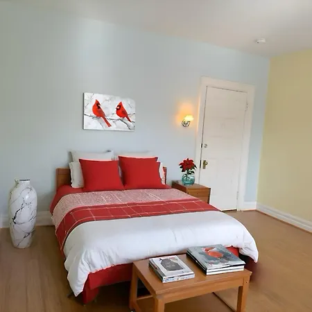 Summer Street Guest House-3