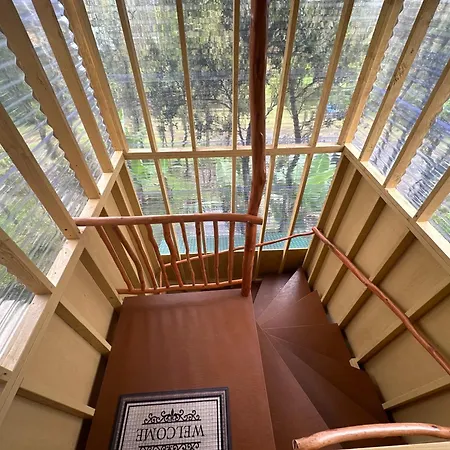 Volcano Eco Cabin & Eco Lodge-3