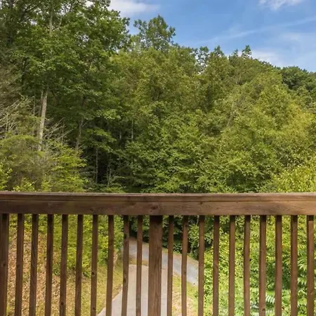 Patriotic Cabin Close To Pigeon Forge And Gatlinburg-2