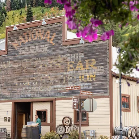 Norfolk Mountain Fantasy! 1121 By Skyrun Park City-3