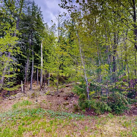 Mountainview Retreat-2