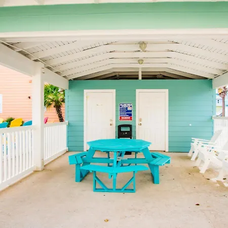 Salty Dog By The Beach-2