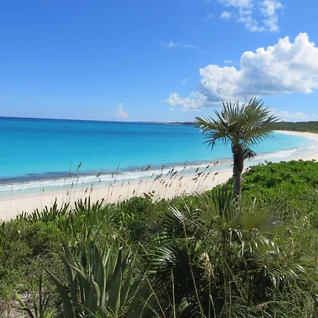 Cayo Loco Home-2