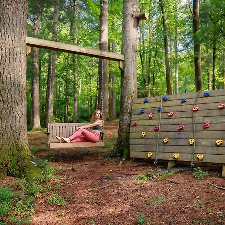 Buzzard Roost Cabin At Cabin Fever In Nc-2