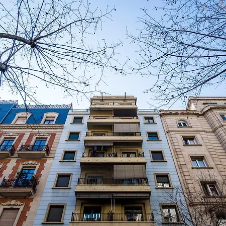C211 Barcelona - Simaba Group-2