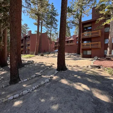 Msrc101 - Walk-To-Lifts Condo With Hot Tub, Dog Friendly-3
