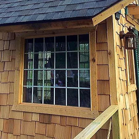 Tree House Cabin For Six With Panoramic Forest Views In Nauvoo, Illinois-3