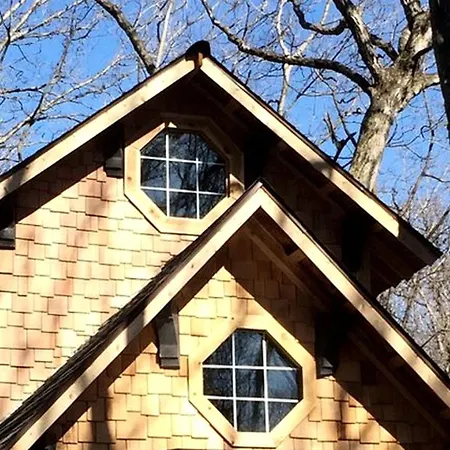 Tree House Cabin For Six With Panoramic Forest Views In Nauvoo, Illinois-2