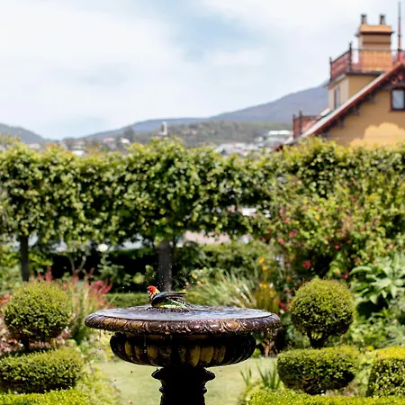 The Corinda Collection-2